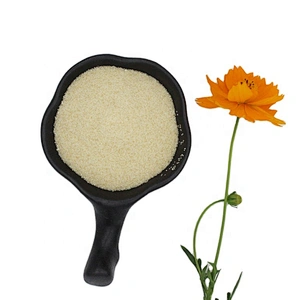 Good Price Well Known Brand Granule Gelatin for Food Additive Wholesale Price Gelatin